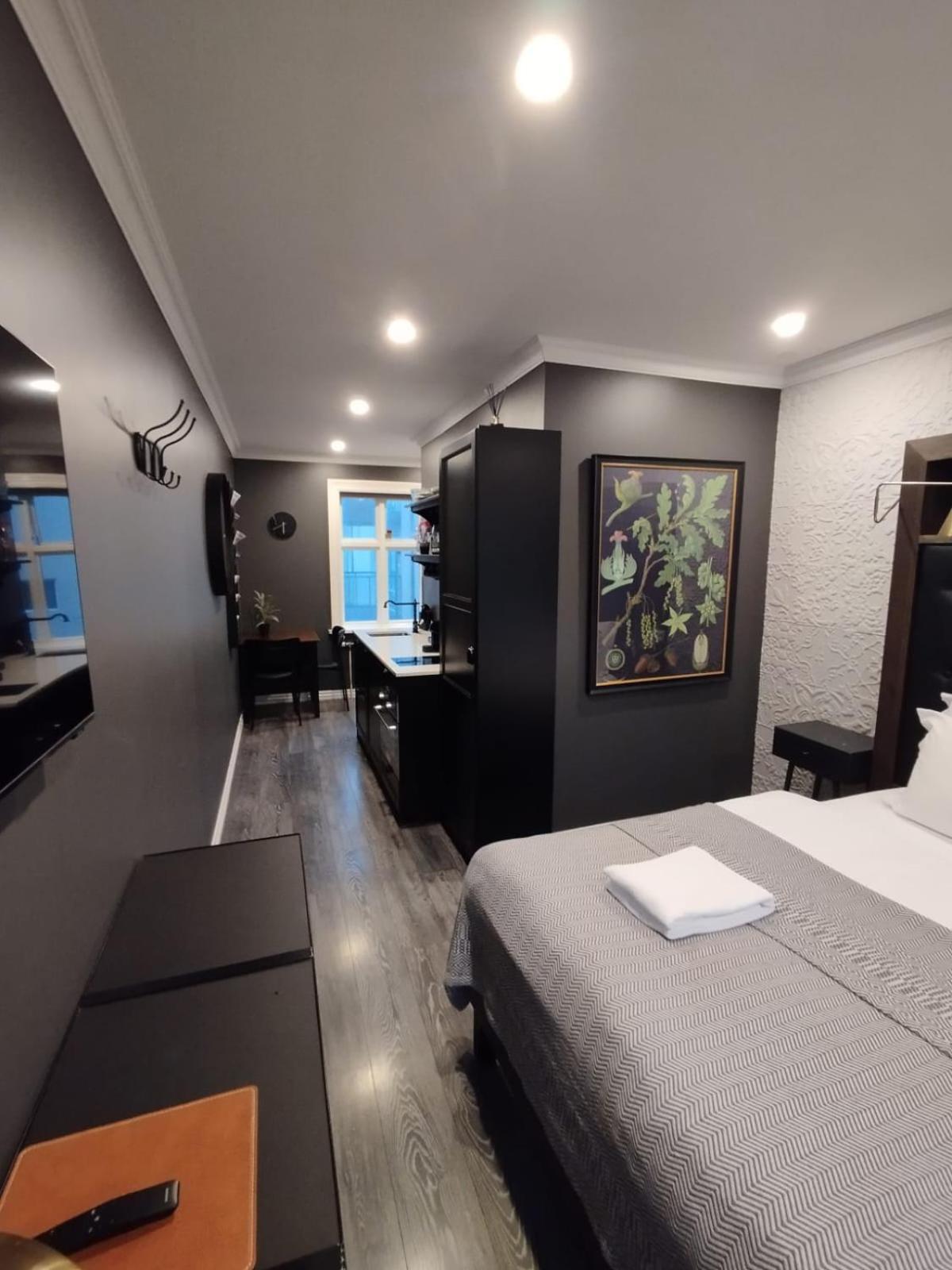 Vintage Apartment Hotel Рейкявик Екстериор снимка